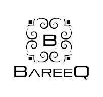 Bareeq logo